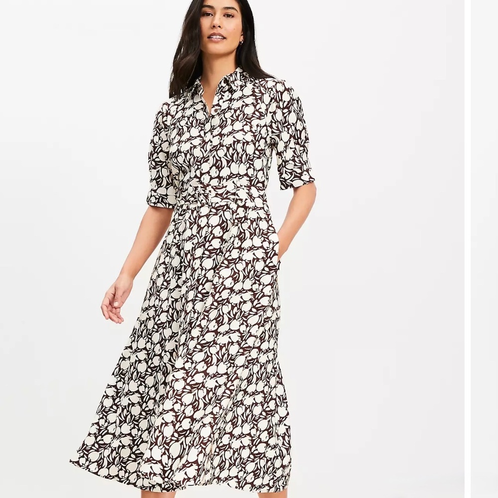 Loft Tulip Belted Midi Pocket Dress, Brown and cream